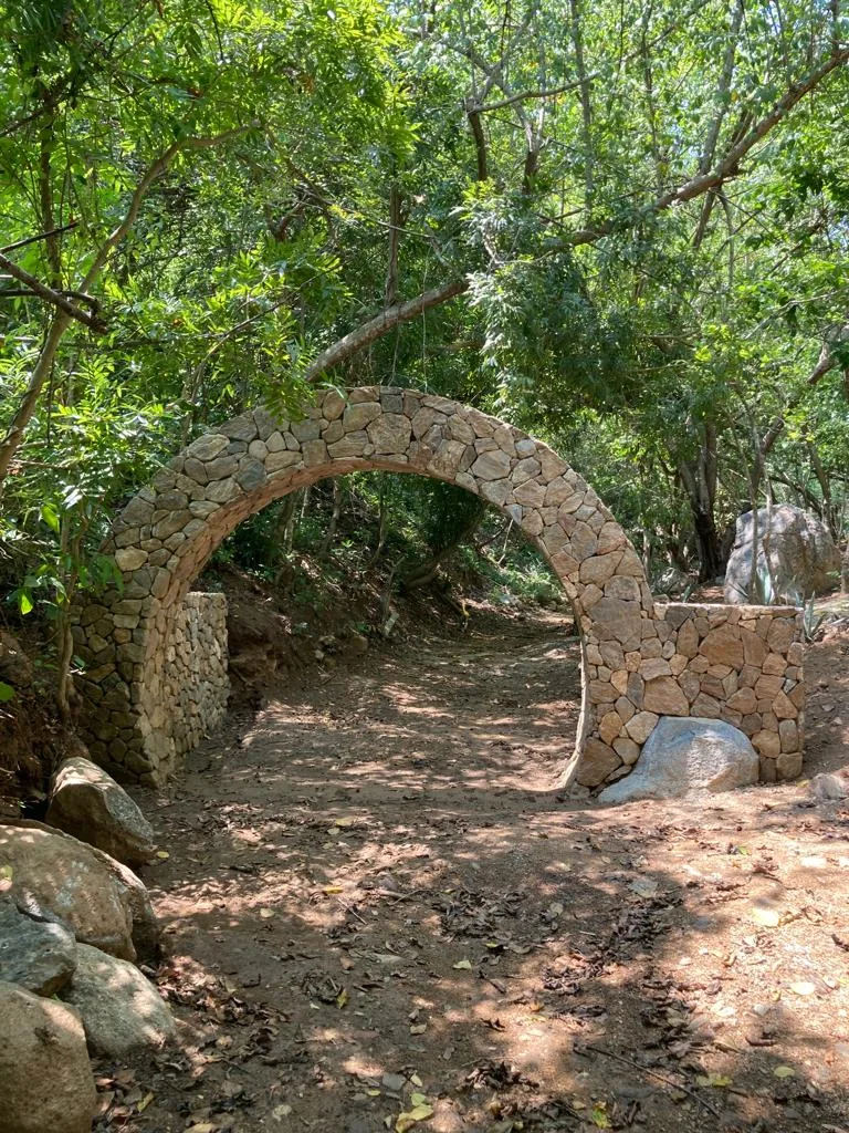 Selva nativa