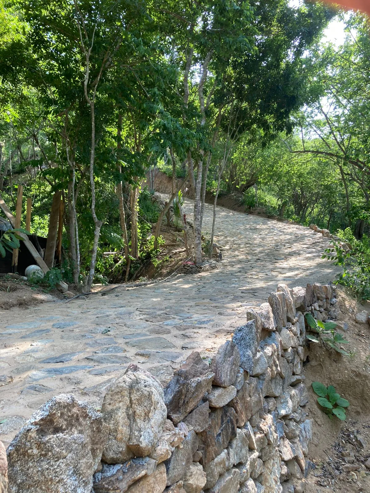 El terreno